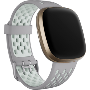 Large fitbit hot sale versa band