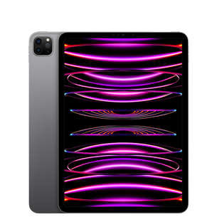 Apple iPad Pro 11'' (2022), 128 GB, WiFi, tumši pelēka - Planšetdators MNXD3HC/A