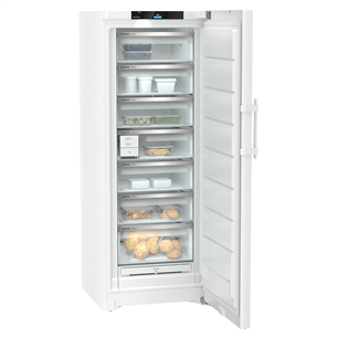 Liebherr Peak NoFrost, 363 L, height 186 cm, white - Freezer