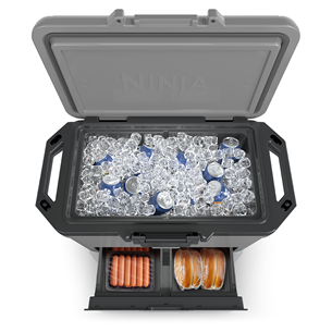 Ninja FrostVault, 47 L, grey - Car cooler