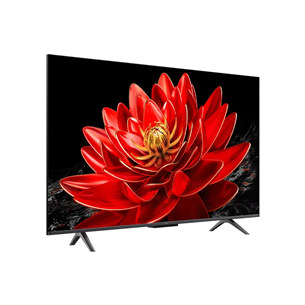 TCL C69B, 43'', 4K UHD, QLED, tumši pelēka - Televizors