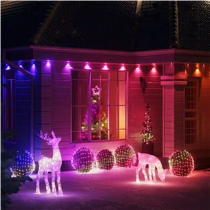 Twinkly Reindeers Stag, RGB, IP44, caurspīdīga - LED dekoratīvā lampa