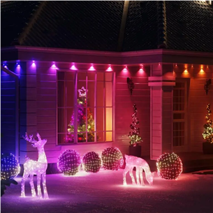 Twinkly Strings 750 (Multicolor edition), 750 LED, 60 m, IP44, black - Smart Christmas Lights