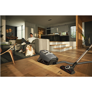 Miele Blizzard CX1 Cat & Dog Flex, 890 W, grey - Vacuum cleaner