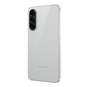 Samsung Galaxy A56 5G, 12 GB, 256 GB, pelēka - Viedtālrunis