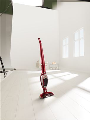 Vacuum cleaner Ergorapido 2in1, Electrolux